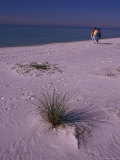 Seaside Couple  Gulf of Mexico  Florida  USA