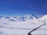 Mt Denali After First Snow Storm  Alaska  USA