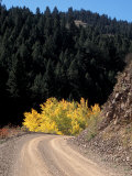 Lemhi Pass  Continental Divide  Lewis and Clark Trail  Idaho  USA