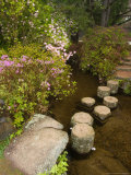 Asticou Azalea Gardens in Northeast Harbor  Mt Desert Island  Maine  USA