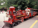 Train and Conductor at Forest Park  St Louis Zoo  St Louis  Missouri  USA