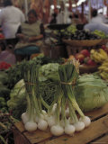 Vegetables at Weekly Market  Oaxaca  Mexico