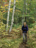 Hiking on the Appalachian Trail  Northern Forest  Maine  USA