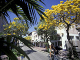 Espanola Way Biker  South Beach  Miami  Florida  USA