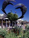 Crab Sculpture at Pier 39  Fisherman's Wharf  San Francisco  California  USA