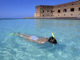 Snorkeling at Fort Jefferson  Garden Key  Dry Tortugas  Florida  USA
