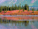 Lake in Autumn along the Denali Highway  Alaska  USA