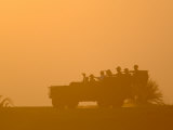 Tourists Watching Lions  Duba Plains  Okavango Delta  Botswana