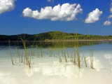 White Sands and Lake Birrabeen  Fraser Island  Queensland  Australia