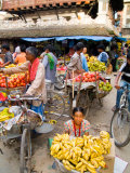 Portrait of Vegetable Vendor  Jaipur  Rajasthan  India