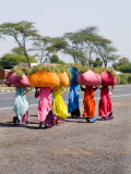 Women Carrying Loads on Road to Jodhpur  Rajasthan  India