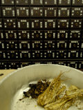Traditional Medicines  Beijing  China