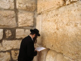 Men Praying at the Wailing Wall  Jerusalem  Israel