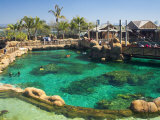 Shark Bay  Sea World  Gold Coast  Queensland  Australia