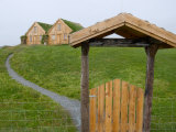 Modern Versions of Traditional Sod Houses  Iceland