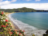 Hicks Bay  Eastland  New Zealand