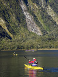 Sea Kayak  Milford Sound  Fjordland National Park  South Island  New Zealand