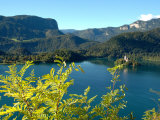 View of Bled Island from Bled Castle  Lake Bled  Slovenia
