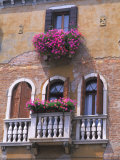Architecture and Design of Venice  Italy