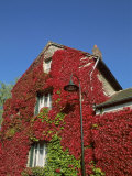 Home of Monet  Giverny  France