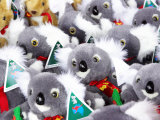 Fluffy Koalas and Kangaroos  Queen Victoria Market  Melbourne  Victoria  Australia