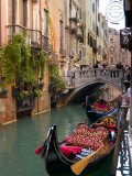 Gondolas Moored along Grand Canal  Venice  Italy