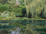 Claude Monet's Garden Pond in Giverny  France