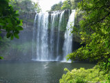 Rainbow Falls  Kerikeri  Northland  New Zealand