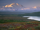 Denali National Park near Wonder lake  Alaska  USA