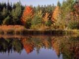 Maine Pond with Reflection and Chair  USA