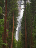 Upper and Lower Yosemite Falls Yosemite National Park  CA