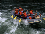 Whitewater Rafting in Salmon River  Idaho  USA