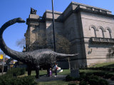 Dinosaur Exhibit at Carnegie Museum of Science  Pittsburgh  Pennsylvania  USA