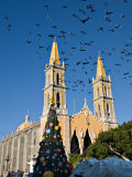 Cathedral with a Flock of Pigeons  Mazatlan  Mexico