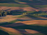 Scene at Dawn from Steptoe Butte  Palouse  Washington  USA