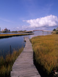 Fogers Island Walkway  Ocean City  Maryland  USA