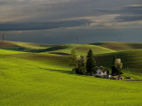 Farm near Colfax at Dusk  Palouse  Washington  USA