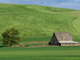 Barn near St John  Palouse  Washington  USA