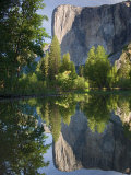 El Capitan reflected in Merced River Yosemite National Park  CA