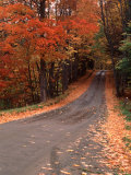 Country Road in Vermont  USA