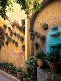 Flowers and Architecture in San Miguel de Allende  Mexico