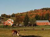 Vermont Farm in the Fall  USA