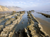 Henry's Beach  Santa Barbara  California  USA