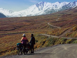 Two Bicyclists on the Park Road in Denali National Park  Alaska  USA