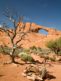 Skyline Arch  Arches National Park  Utah  USA