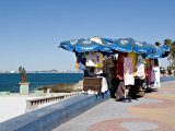Street Vendor on the Paseo Claussen  Mazatlan  Mexico