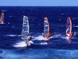 Wind Surfers on the Coast of Maui  Hawaii  USA