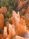 Hoodoos in Bryce Canyon from Inspiration Point  Bryce Canyon National Park  Utah  USA
