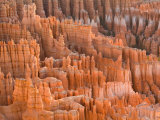 Hoodoos in Bryce Canyon from Inspiration Point  Bryce Canyon National Park  Utah  USA