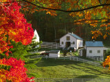 Morning Chores at the Imagination Morgan Horse Farm  Bethel  Vermont  USA